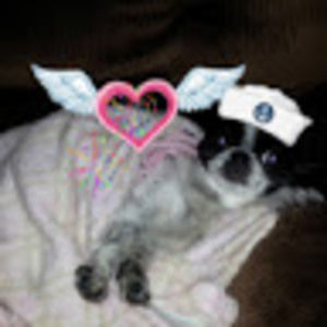 Meet your Posher, Cassandra